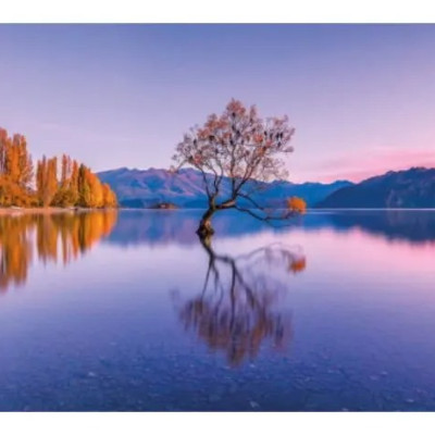 Lago Wanaka, Nuova Zelanda - Puzzle Panoramico 