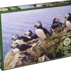 Puzzle - Cobble Hill - Giornata limpida