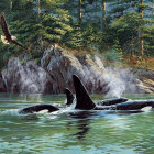 Puzzle - Cobble Hill - orche assassine