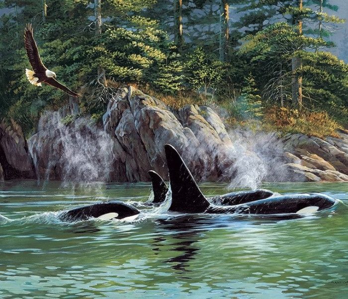 Puzzle - Cobble Hill - orche assassine