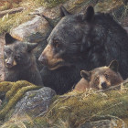 Puzzle - Cobble Hill - Doppio amore