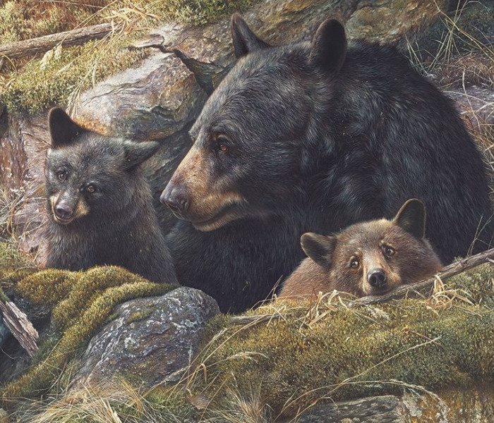 Puzzle - Cobble Hill - Doppio amore