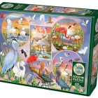 Puzzle - Cobble Hill - Affascinante uccello acquatico