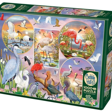 Affascinante uccello acquatico