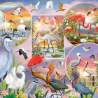 Puzzle - Cobble Hill - Affascinante uccello acquatico