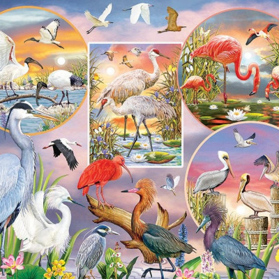 Affascinante uccello acquatico