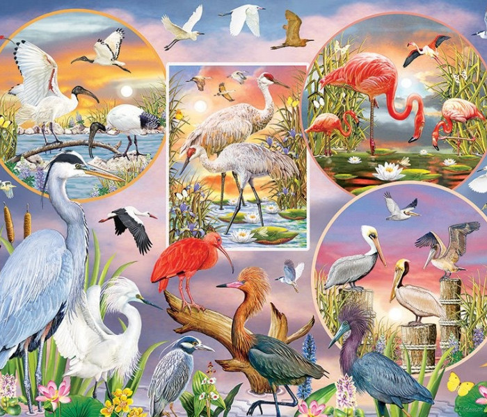 Puzzle - Cobble Hill - Affascinante uccello acquatico