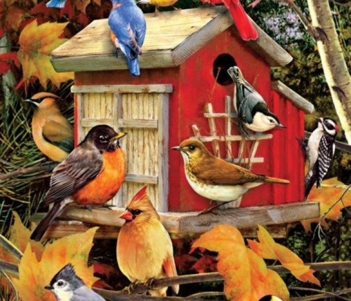 Puzzle - Cobble Hill - Casetta per gli uccelli in autunno
