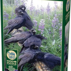 Puzzle - Cobble Hill - Incontro dei corvi