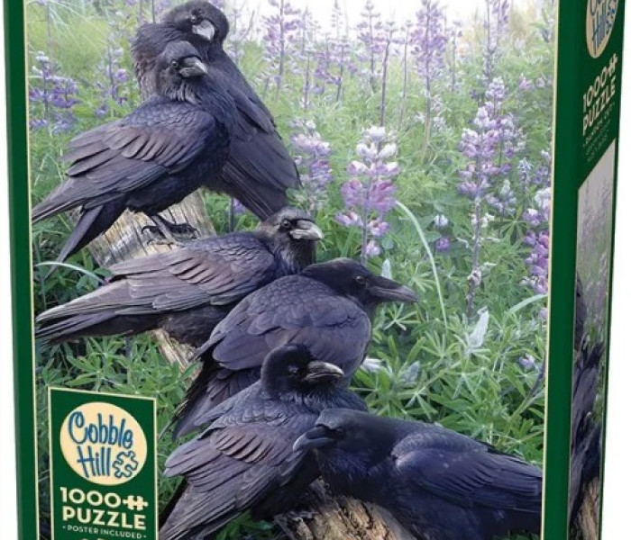 Puzzle - Cobble Hill - Incontro dei corvi