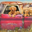 Puzzle - Cobble Hill - Azienda agricola