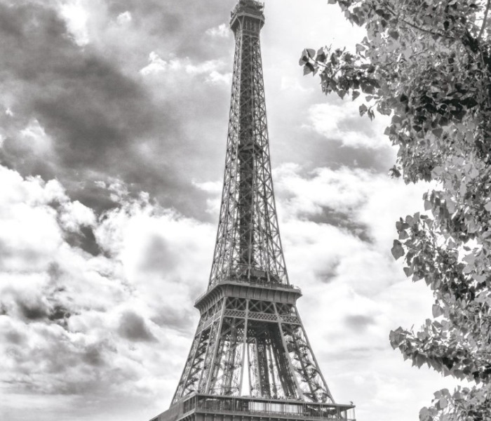 Puzzle - Dino - Torre Eiffel in bianco e nero