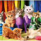 Puzzle - Dino - Gattini colorati