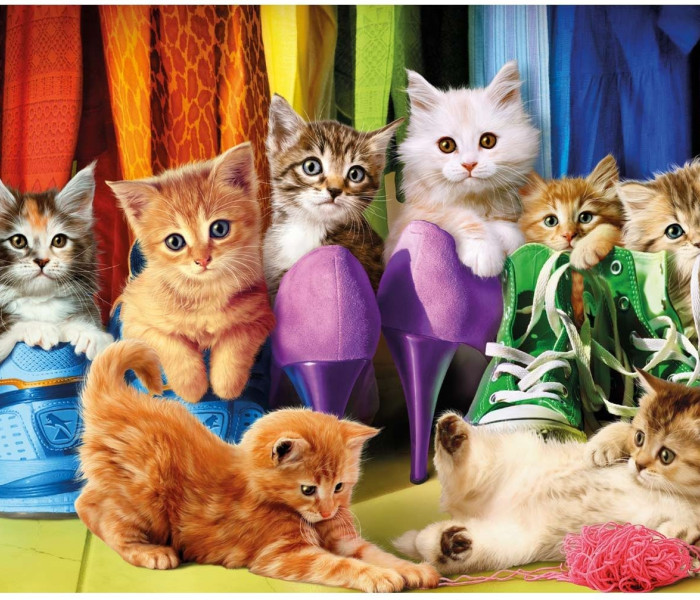 Puzzle - Dino - Gattini colorati