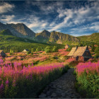 Puzzle - Dino - Valle di Gaseinic