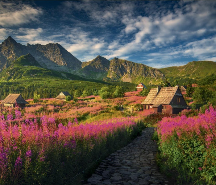 Puzzle - Dino - Valle di Gaseinic