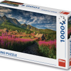 Puzzle - Dino - Valle di Gaseinic