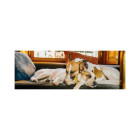 Puzzle - Dino - Gump sul divano