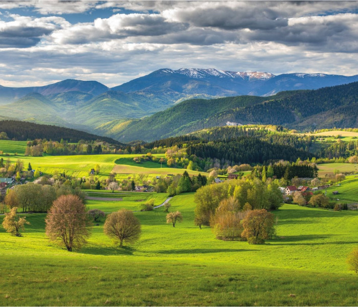 Puzzle - Dino - Primavera sopra Povrazník