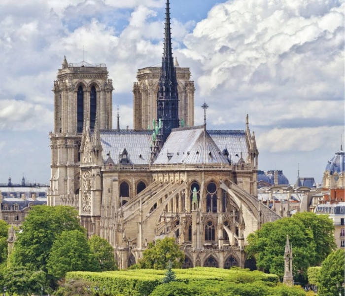 Puzzle - Dino - Cattedrale di Notre Dame