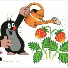 Puzzle - Dino - Talpa