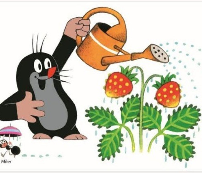 Puzzle - Dino - Talpa