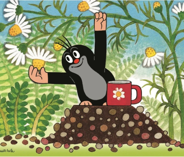 Puzzle - Dino - Talpa e amici