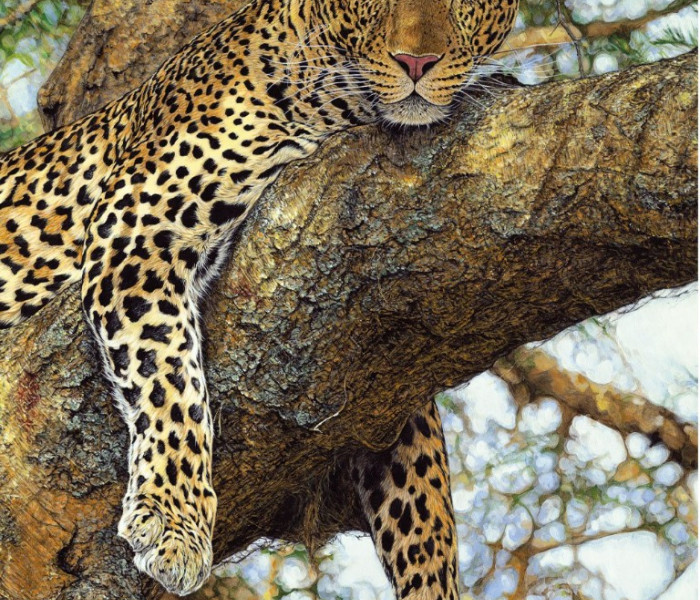 Puzzle - Dino - Leopardo