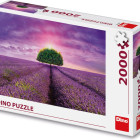 Puzzle - Dino - Campo di lavanda