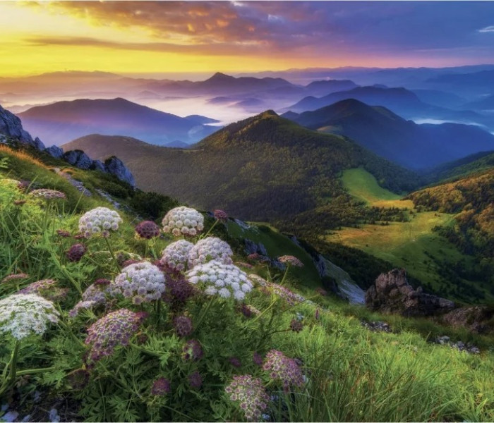 Puzzle - Dino - Piccola Fatra