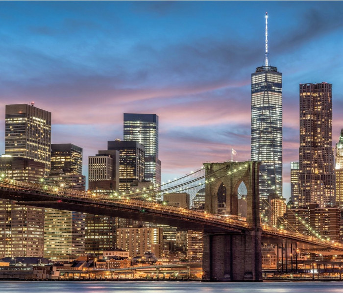 Puzzle - Dino - Puzzle Luminoso New York