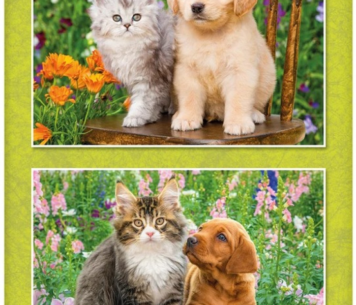 Puzzle - Dino - Cane e gatto in giardino