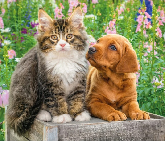 Puzzle - Dino - Cane e gatto in giardino