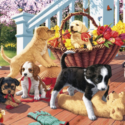 Cuccioli secret collection