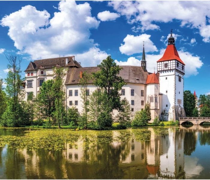 Puzzle - Dino - Castello di Blatna