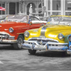 Puzzle - Dino - Incontro dei veterani - Puzzle Panoramico