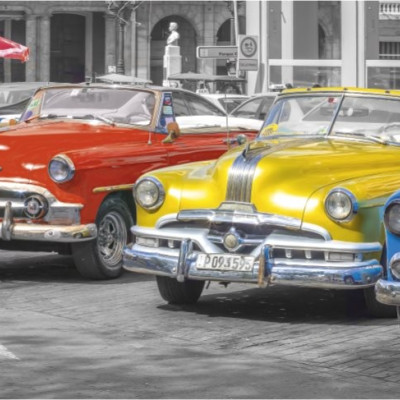 Incontro dei veterani - Puzzle Panoramico 