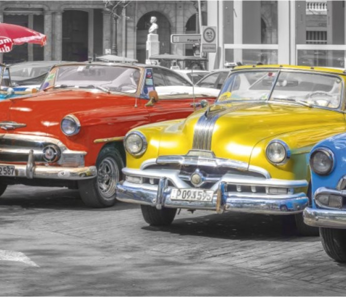 Puzzle - Dino - Incontro dei veterani - Puzzle Panoramico