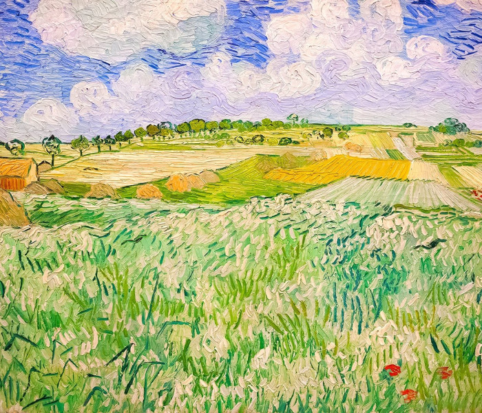 Puzzle - Enjoy - Paesaggio di Auvers