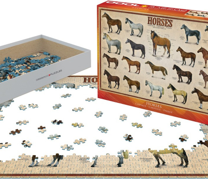 Puzzle - Eurographics - Cavalli