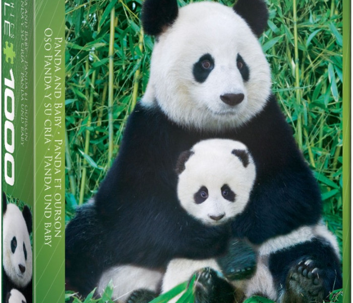 Puzzle - Eurographics - Panda e cucciolo