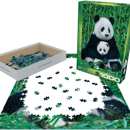 Panda e cucciolo