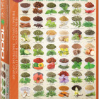 Puzzle - Eurographics - Erbe aromatiche e spezie