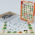 Puzzle - Eurographics - Erbe aromatiche e spezie