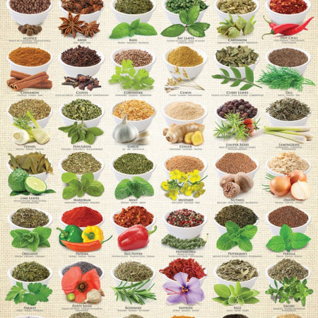 Erbe aromatiche e spezie