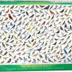 Puzzle - Eurographics - Mondo degli uccelli