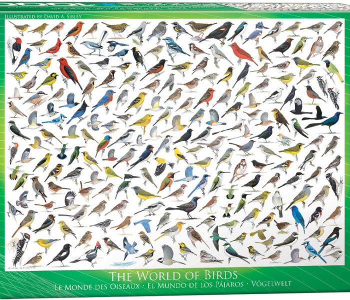Puzzle - Eurographics - Mondo degli uccelli