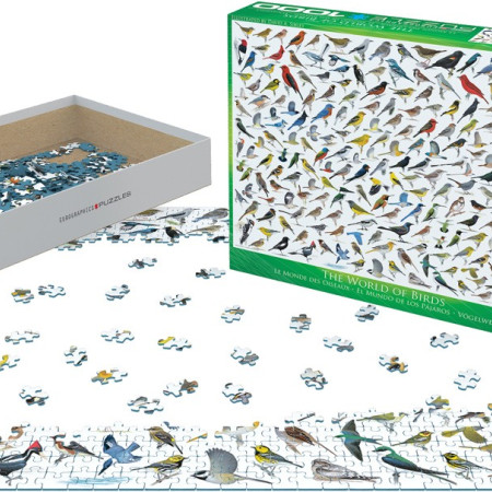 Mondo degli uccelli
