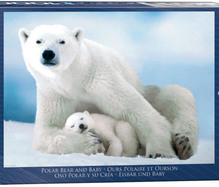 Puzzle - Eurographics - Orso polare