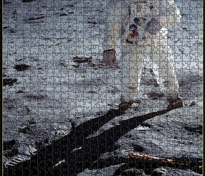 Puzzle - Eurographics - Camminare sulla Luna